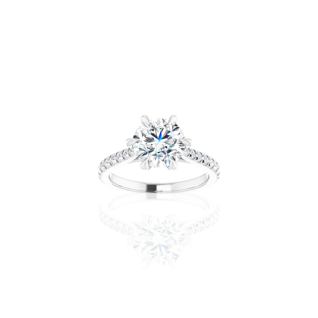 Cathedral 6 Prong Diamond Shank Engagement Ring Hidden Gem