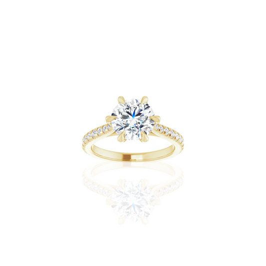 Cathedral | 6 Prong | Diamond Shank Engagement Ring