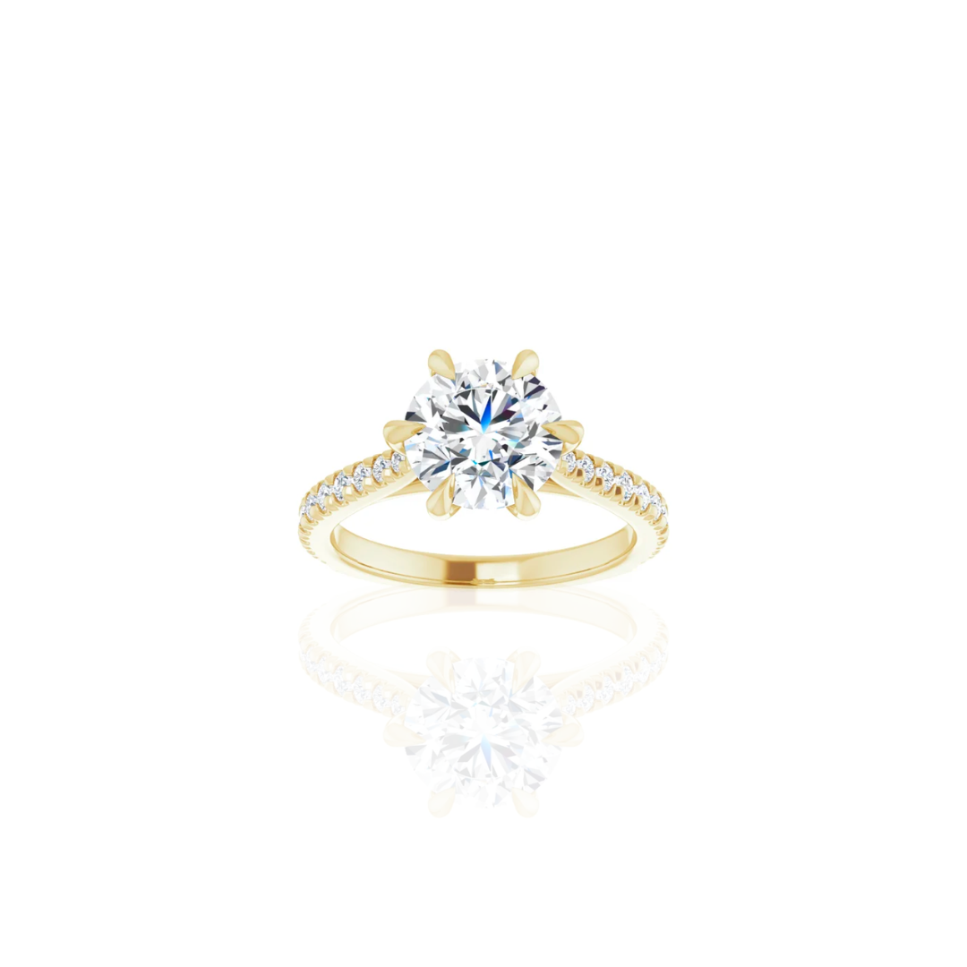 Cathedral | 6 Prong | Diamond Shank Engagement Ring