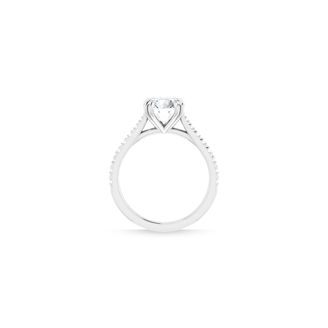 Cathedral | Double Prong | Diamond Shank Engagement Ring