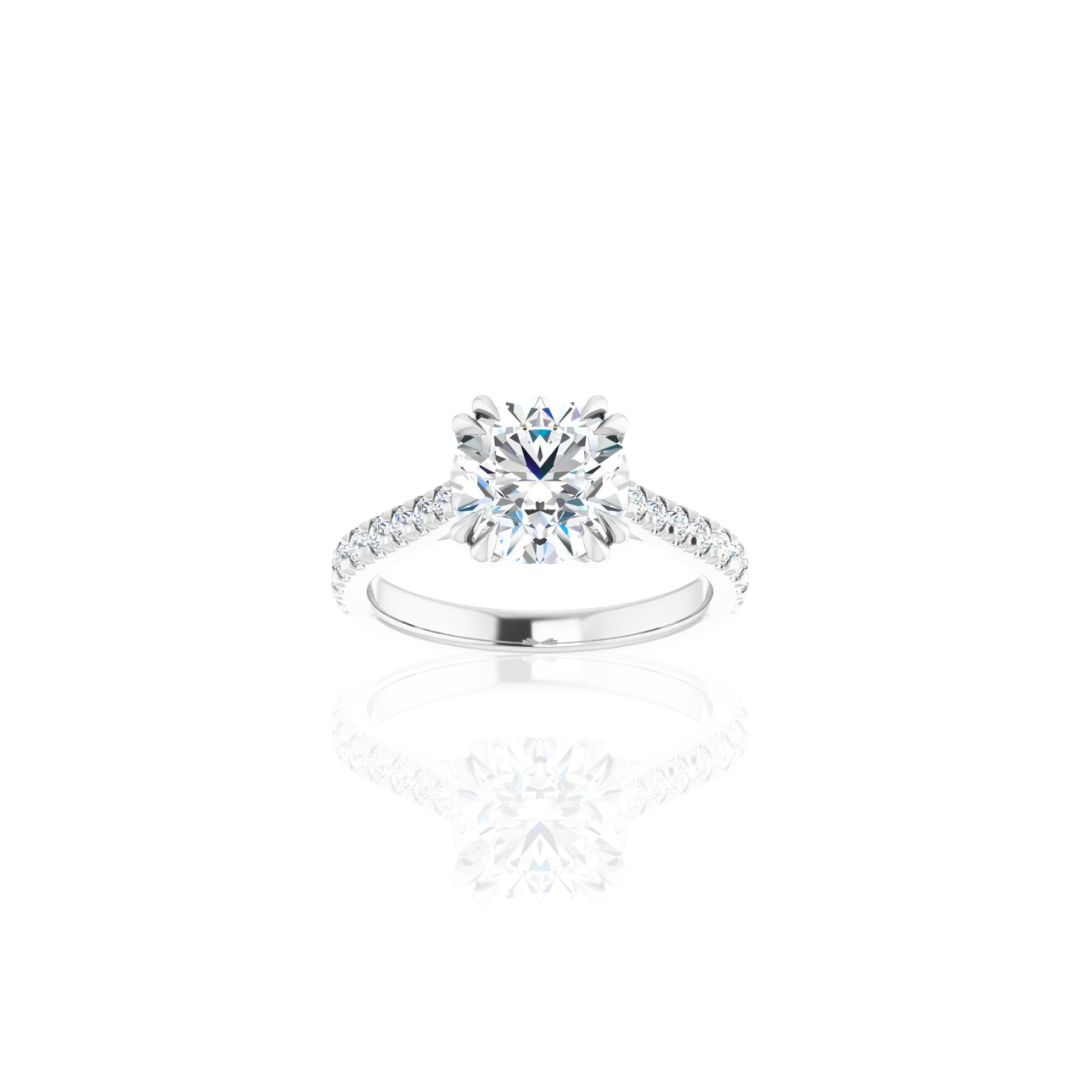 Cathedral | Double Prong | Diamond Shank Engagement Ring