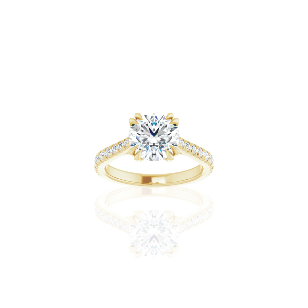 Cathedral | Double Prong | Diamond Shank Engagement Ring